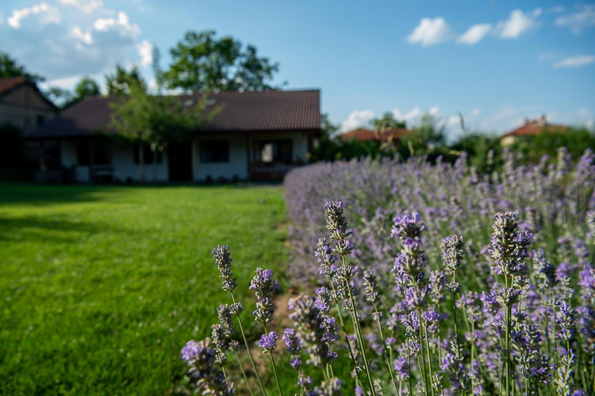 Walnut Cottage 1 Deredzhik-Koy Exterior photo